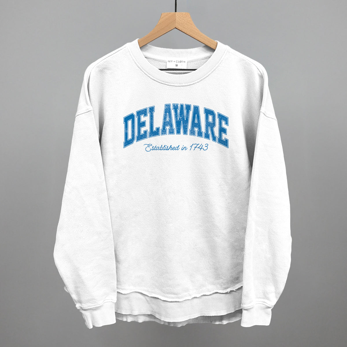 Delaware Varsity Arch