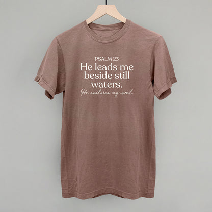 Psalm 23 He Restores My Soul