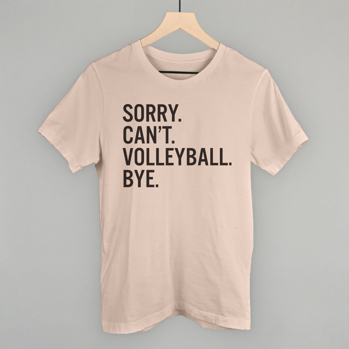 Sorry Can't Volleyball Bye