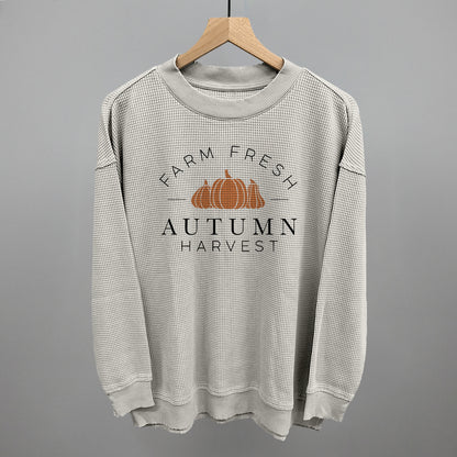Autumn Harvest